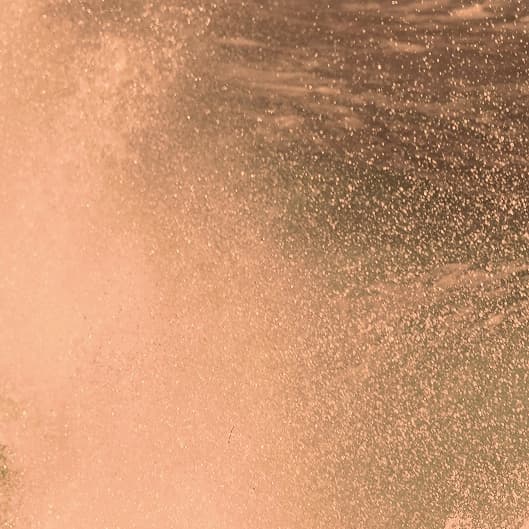 Bronzed Babe - Spray Tan Membership at Wild Roots Salon in Dayton, TX