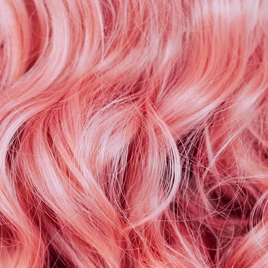 Boujee Blowout Membership at Wild Roots Salon in Dayton, TX